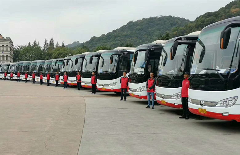 大巴車車隊(47-55座)